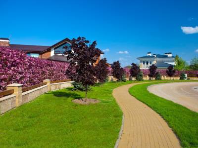 Дом 21721 в поселке Millennium Park - на topriga.ru